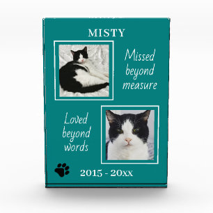 Bloc Photo Beau Mémorial de chat Manqué au-delà de la mesure 