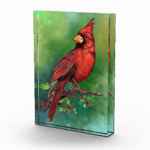 Bloc Photo Belle peinture d'oiseaux du Cardinal rouge du Nord
