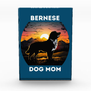 Bloc Photo Bernese et le soleil levant pour Bernese Dog Mom