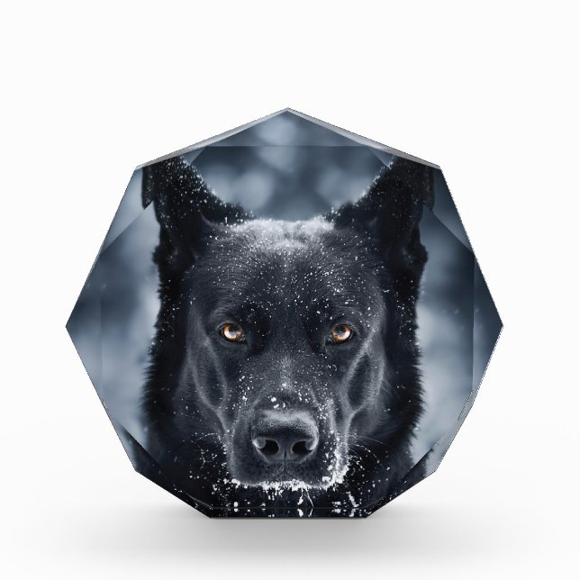 Bloc Photo Black German Shepherd (Devant)