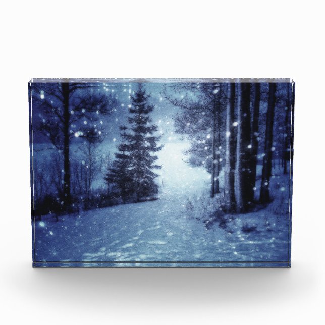 Bloc Photo Bleu Moonlit Forêt magique Scène d'hiver (Devant)
