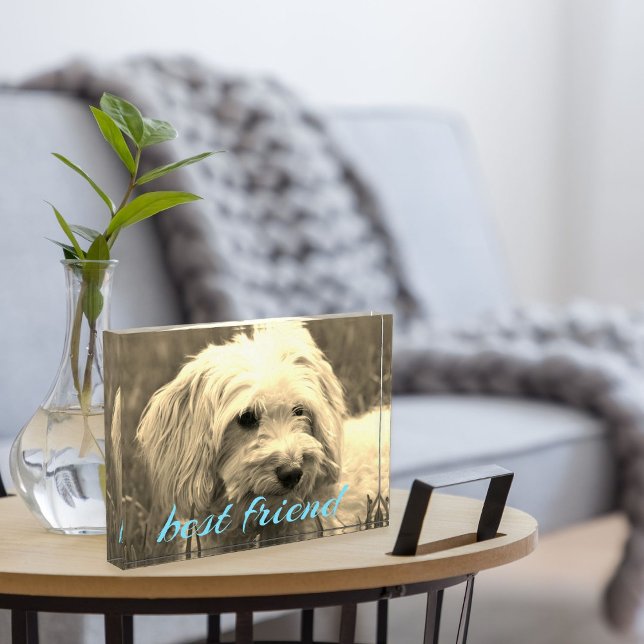 Bloc Photo Blocage photo pour chien meilleur ami (Have your best friend present in your living room)