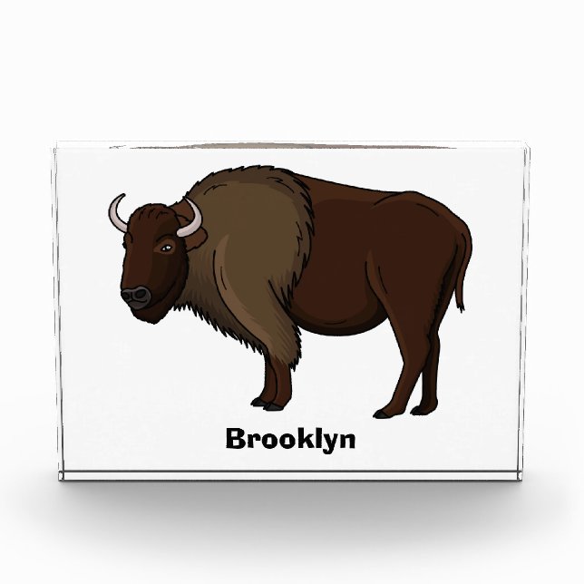 Bloc Photo Bonne illustration de bison américain (Devant)