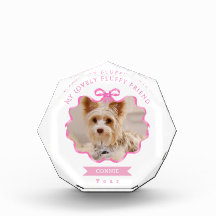 Bow Ruban Pet Mémoire Photo rose