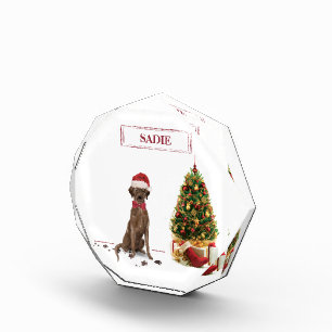 Bloc Photo Brown Labrador Retriever Funny Christmas Dog Tree