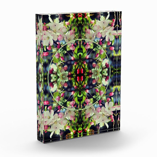 Bloc Photo Cadre Spring Crabappy Blossoms Ajouter Votre Cadre (Gauche)