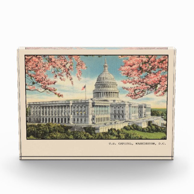 Bloc Photo Carte postale Washington DC USA Capitol Cherry Blo (Devant)
