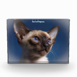 Bloc Photo Chat de Siamese