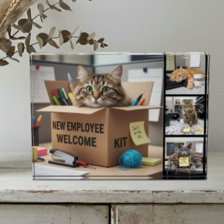 Bloc Photo Chats Amusants au Bureau Photo, Ville, Chat d'Affa