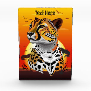 Bloc Photo Cheetah African Feline Wild Animal