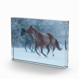 Bloc Photo Cheval Drive