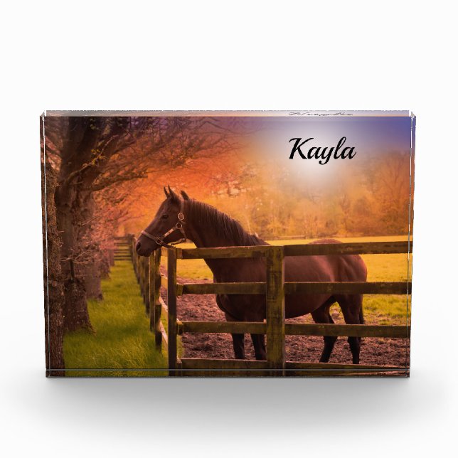 Bloc Photo Cheval fille (Devant)