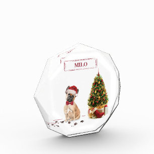 Bloc Photo Chien de Noël Funny avec arbre