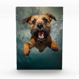 Bloc Photo Chien joueur nageant sous l'eau Design
