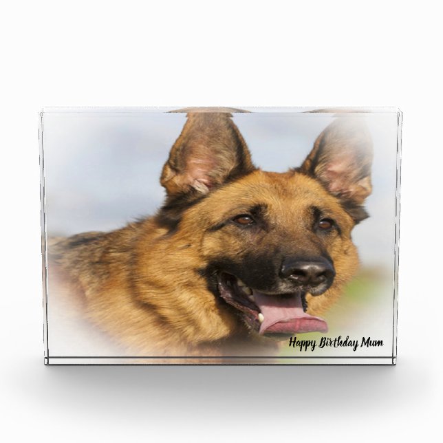 Bloc Photo Chien Shepard allemand. (Devant)