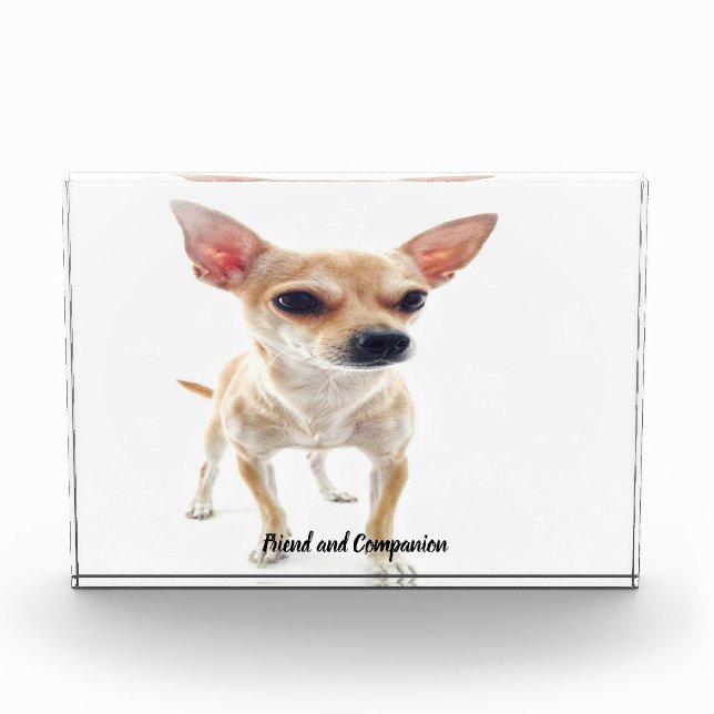 Bloc Photo Chihuahua Dog. (Devant)