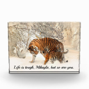 Bloc Photo Citation inspirante du tigre et de l'animal mère