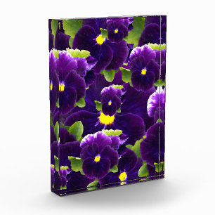 Bloc Photo Clusters de Pansy Profond Violet : Beauté majestue