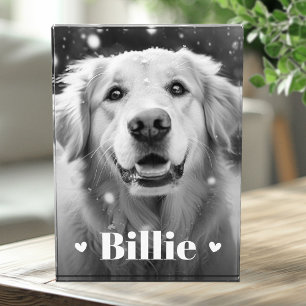 Bloc Photo Coeurs de nom de chat de chien animal