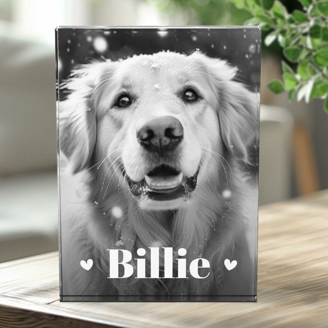 Bloc Photo Coeurs de nom de chat de chien animal (Pet dog cat name hearts photo block)