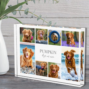 Bloc Photo Collage de photos de chien simple