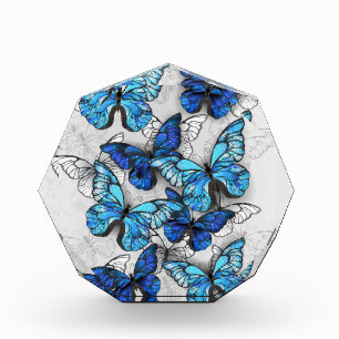 Bloc Photo Composition de papillons blancs et bleus
