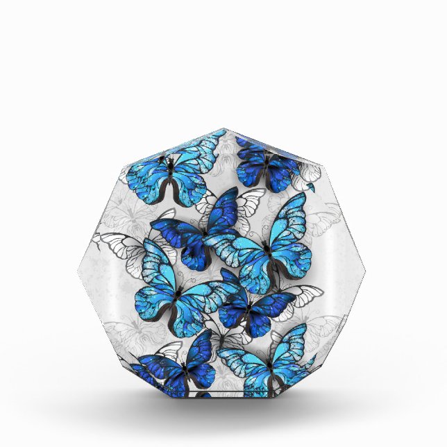 Bloc Photo Composition des White and Blue Butterflies (Devant)