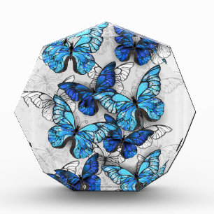 Bloc Photo Composition des White and Blue Butterflies