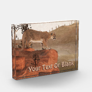 Bloc Photo Concentration - Cougar