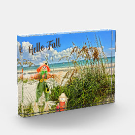 Bloc Photo Côte Sanibel Island Floride Plage & Scarecrow