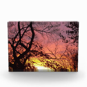 Bloc Photo Coucher de soleil coloré à travers les arbres nus