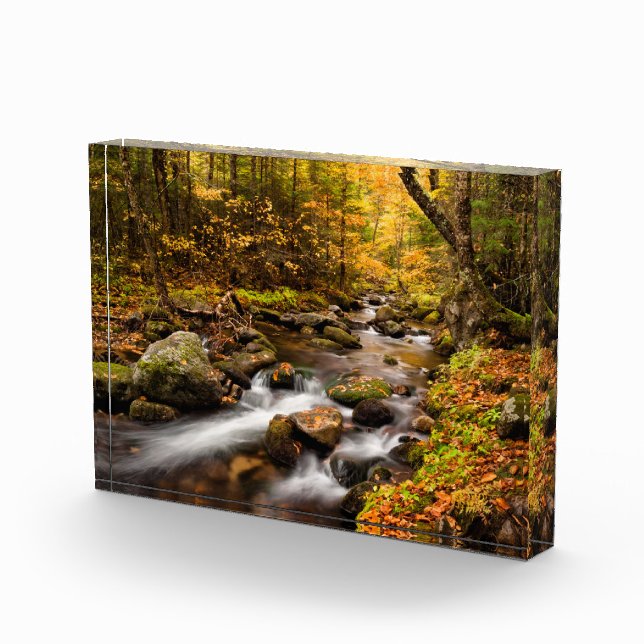 Bloc Photo Couleur d'automne Jefferson Brook | Montagnes blan (Droite)