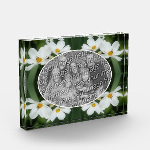 Bloc Photo Créez Vos Propres Fleurs De Cosmos Et Abeilles