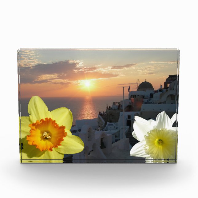 Bloc photo Daffodil Flowers (Devant)