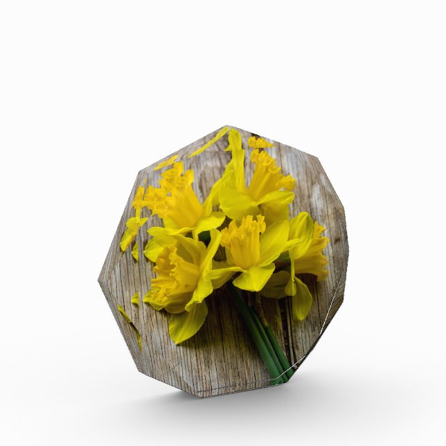 Bloc photo de jonquilles jaunes (Gauche)