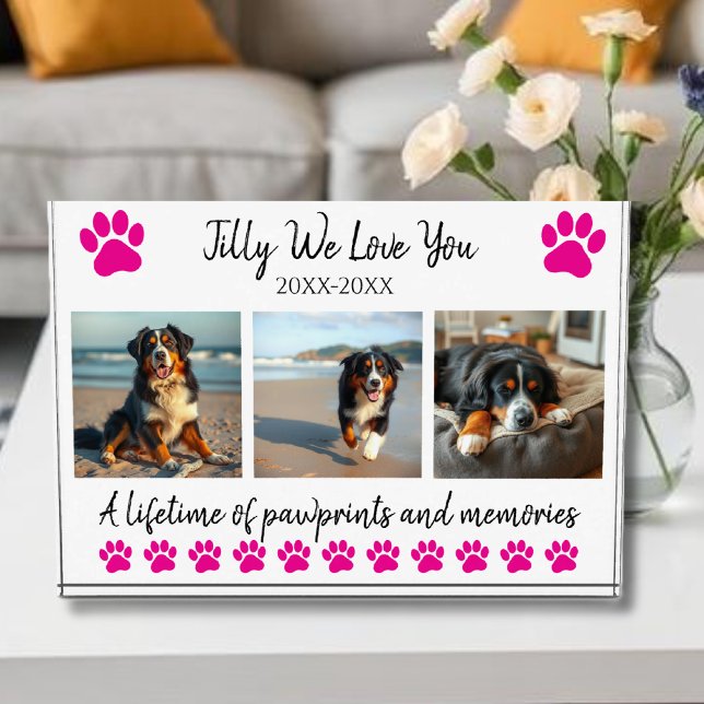 Bloc Photo Empreintes de pattes et souvenirs - Animaux de com (Paw Prints & Memories-Custom Pet- Photo Block-Pink paws)