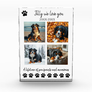 Bloc Photo Empreintes de pattes et souvenirs - Animaux de com