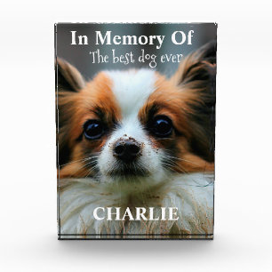 Bloc Photo En mémoire du meilleur chien de tous les temps