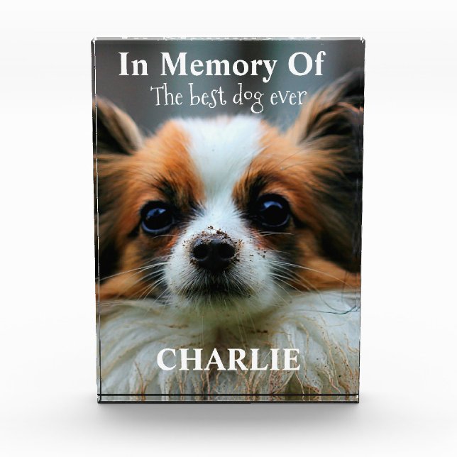 Bloc Photo En mémoire du meilleur chien de tous les temps (Devant)