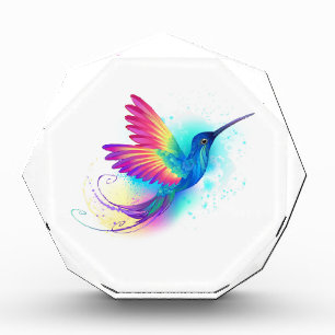 Bloc Photo Exotic Rainbow Hummingbird
