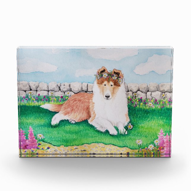 Bloc Photo Fête du jardin (Devant)