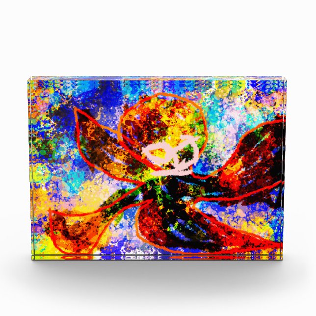 Bloc Photo Feu de pieuvre (Devant)