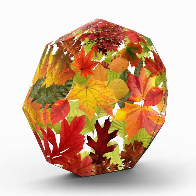 Bloc Photo Feuilles automnales d'automne (Gauche)