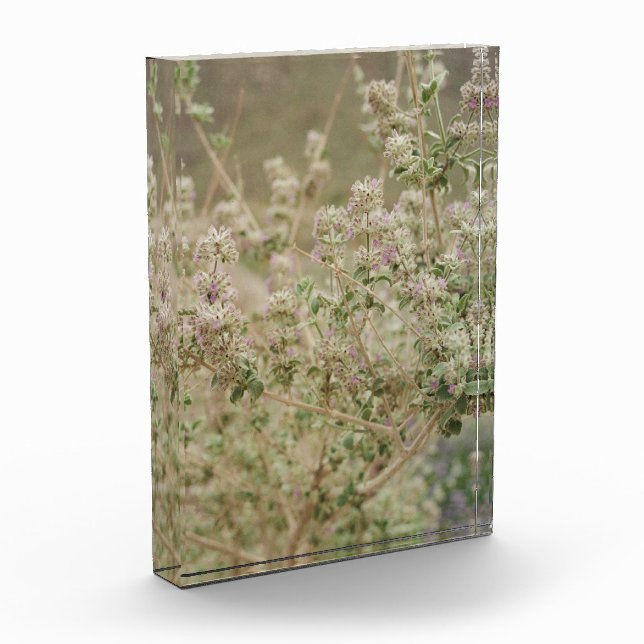 Bloc Photo Fleur fantôme (Gauche)