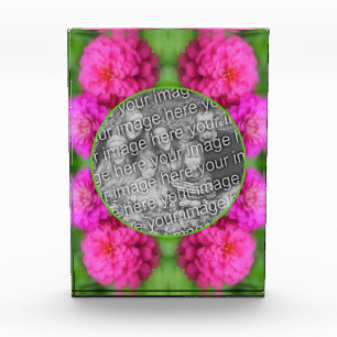 Bloc Photo Fleurs Zinnia Roses Créez Votre Propre