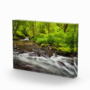 Bloc Photo Forêt nationale de Siuslaw, Sweet Creek, Oregon