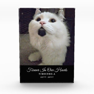 Bloc Photo Forever In Our Hearts Cat Memorial Pet Nom de la p