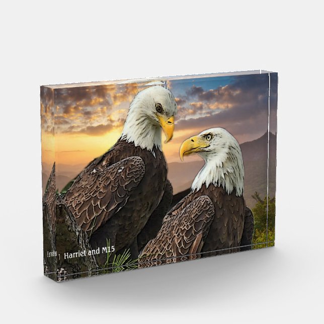 Bloc Photo Harriet et M15 Eagle Love (Gauche)