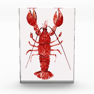 Bloc Photo Homard rouge