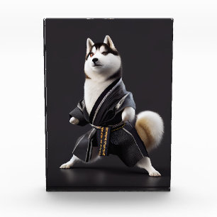 Bloc Photo Husky Dog connaît Karate, Husky Dog Karate Player